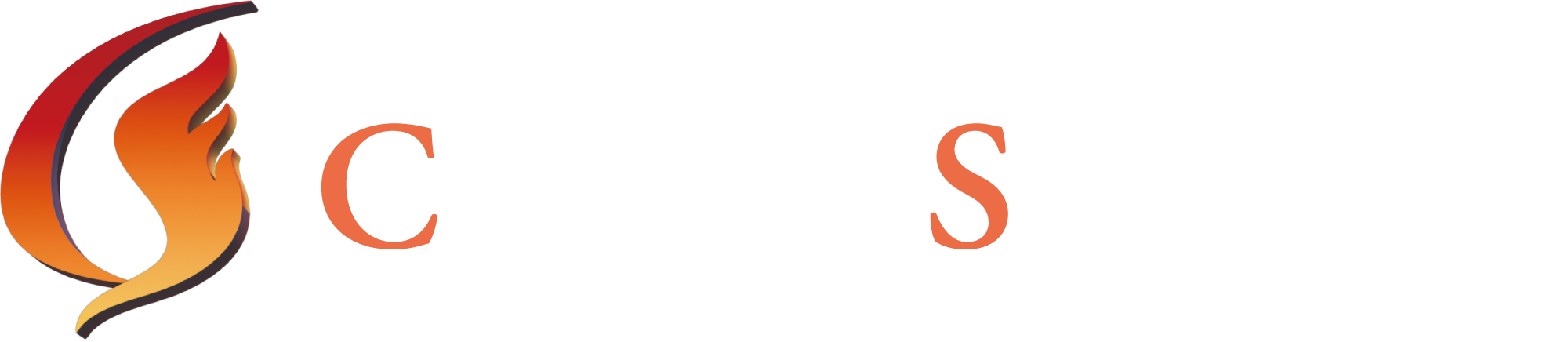 Challse Solution ロゴ